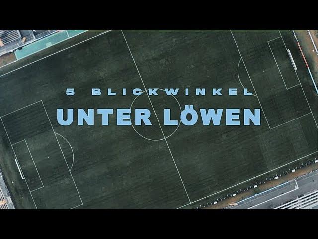 UNTER LÖWEN - 5 Blickwinkel