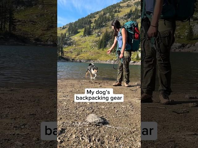 Dog gear load out for multi day hikes and camping. Backpacking in the warmer months.