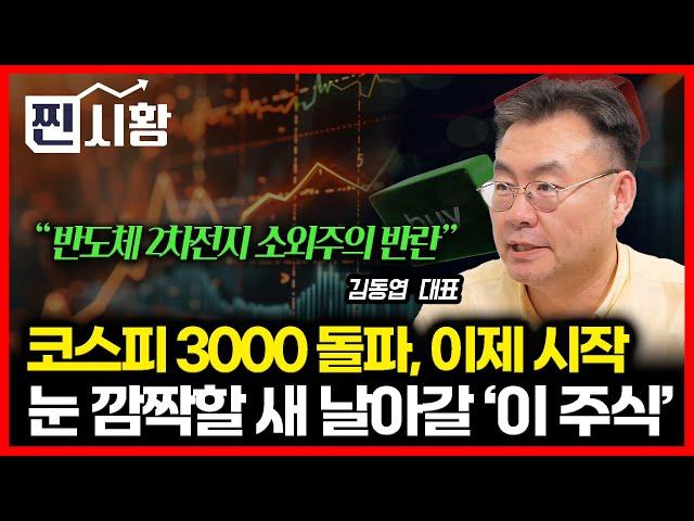 [#찐시황] 3년 5개월만의 코스피 3000 돌파, 반도체주, 2차전지 소외주들이 깨어났다 / 눈 깜짝할 새 날아갈 "이 주식"  | 김동엽 대표