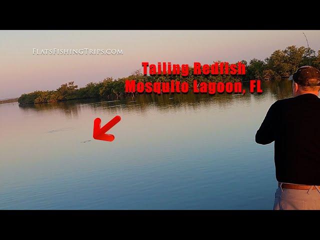 Fishing for redfish in Florida - Mosquito Lagoon