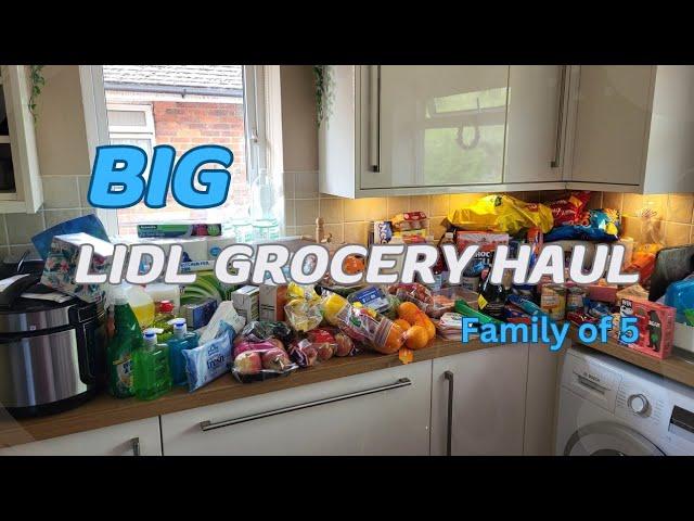 BIG Lidl Haul | Weekly Shop | UK Family of 5 | Meal Plan