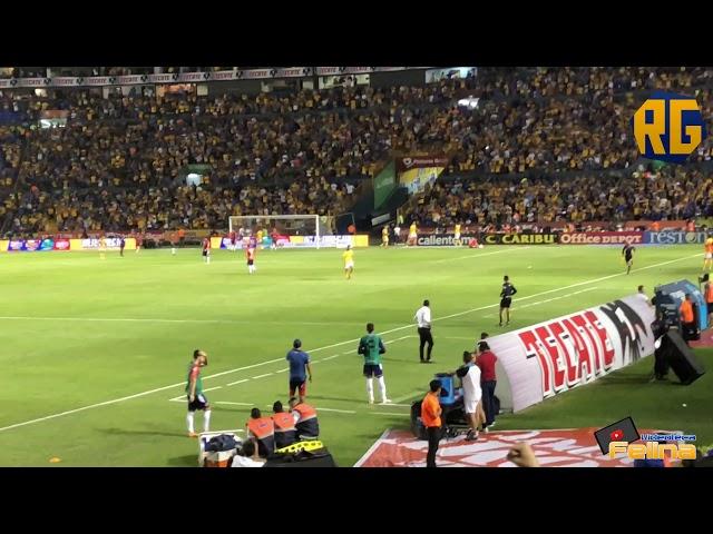 GOLAZO De André-Pierre Gignac Tigres vs Veracruz 4-0 Jornada 6 Apertura 2018 Liga Mx HD