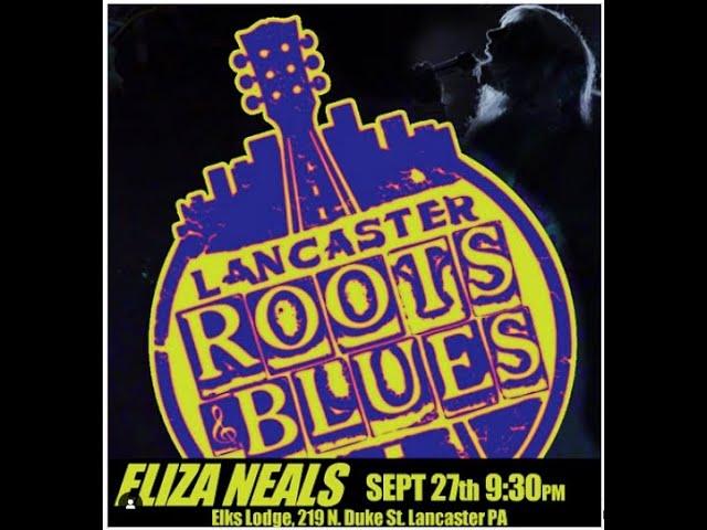 "Breaking and Entering" Eliza Neals @ Lancaster Roots and Blues Festival 2024 PA