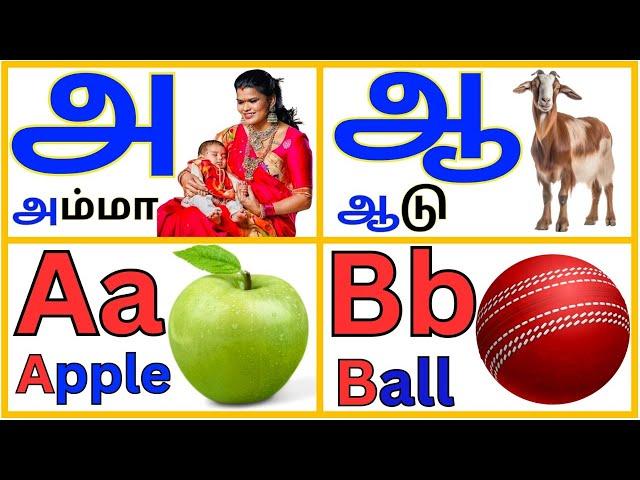 English alphabets a b c d /Tamil alphabets/ uyir eluthukkal/a aa e ee