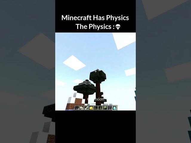 Minecraft physics