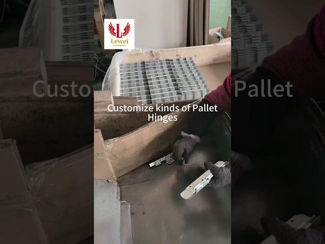 customize kinds of pallet hinges