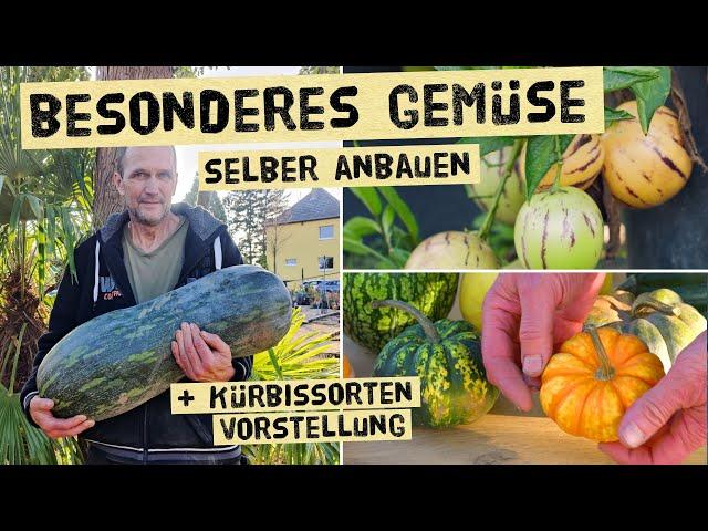 Baue selber Melonenbirnen, Malabarspinat, Ingwer und Zuckerrohr an! Wie schmeckt welche Kürbissorte?