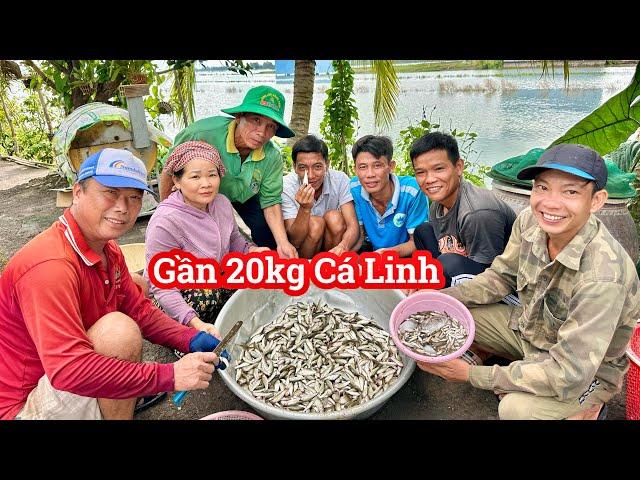 Gần 20Kg Cá Linh Gửi Về Bến Tre và Tiền Giang • Bữa Cơm Đạm Bạc Chia Tay Team Út Quang