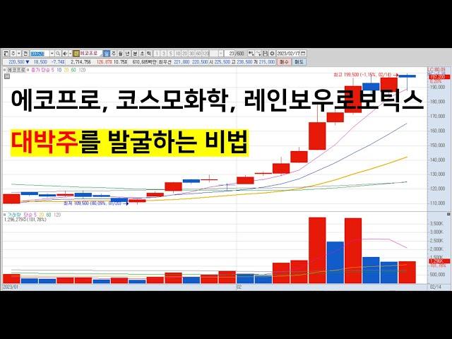 실투대회 5회 수상자의 비기를 공개합니다!