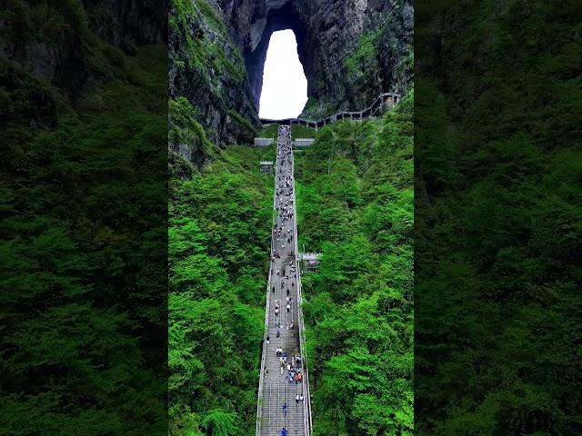 张家界天门山 Zhangjiajie Tianmen Mountain #animal 【跟着图尔去旅行】