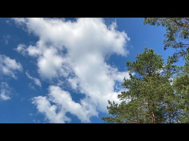ДЕВА - "ОДНАЖДЫ" РАЗБОР ЖИЗНЕННОЙ  СИТУАЦИИ  | ПРОГНОЗ ДО 01.07.2025 |  от NATALLIA MARKOWSKA