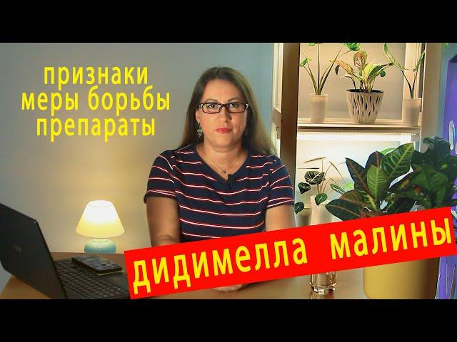 Дидимелла малины. Симптомы и меры борьбы.