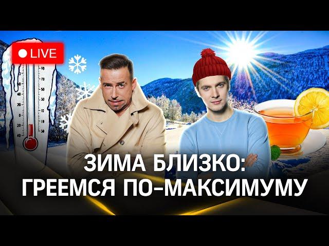 Можно ли уже выходить на лед? Лохин остров. Бобры в Подмосковье | Прогноз погоды, 22 ноября. Стрим