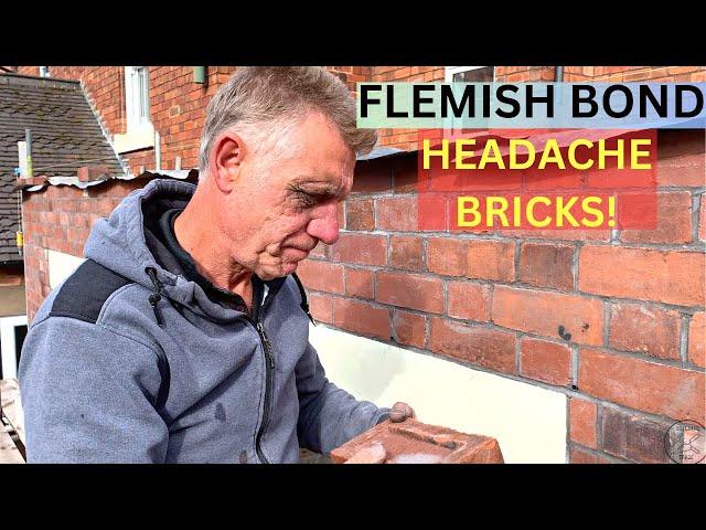 Victorian extension  Flemish Bond causing HEADACHE