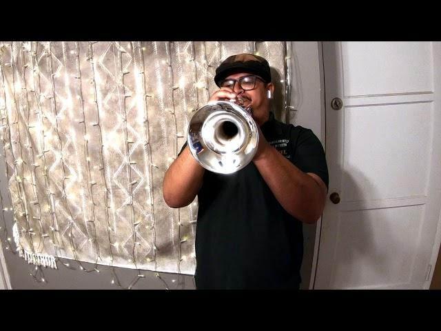 Reckless Love Trumpet Cover (Clip)