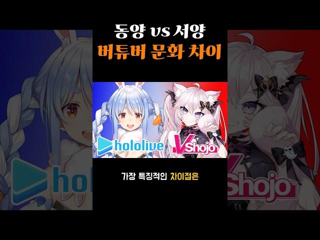 동양과 서양의 버튜버 문화 차이점