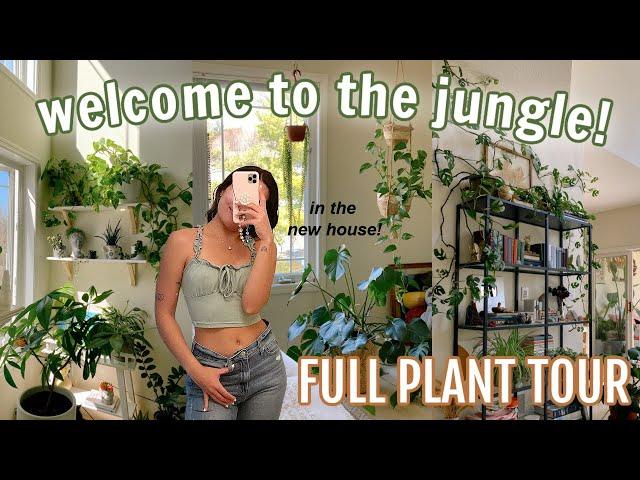 My 100+ houseplant tour in the NEW HOUSE!!! (beginner to expert level) 