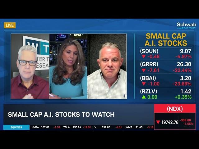 PLTR "All-Time Favorite Stock," Small Cap A.I. Names to Watch