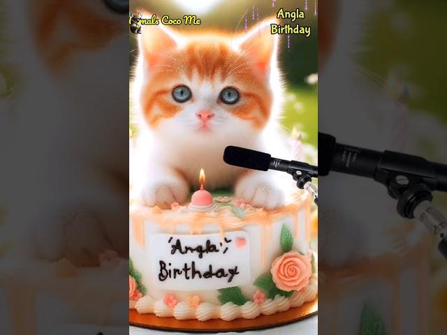 HAPPY BIRTHDAY TO YOU ANGLA | HAPPY BIRTHDAY SONG WITH NAMES | Adorable Cute Cat  #cat #cute