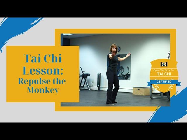 Tai Chi Lesson: Repulse the Monkey