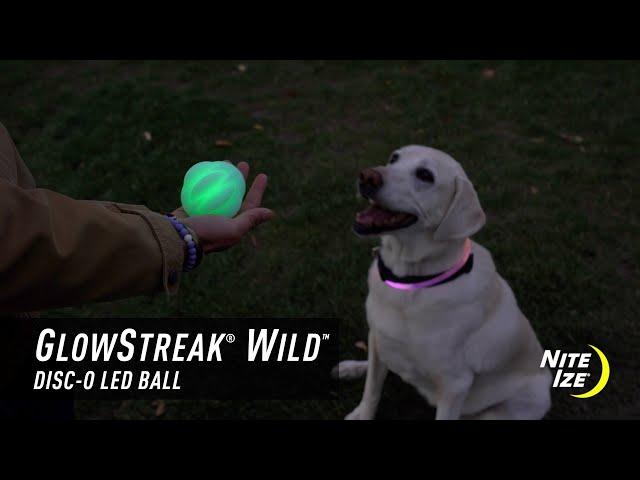 GlowStreak® Wild™ Disc-O LED Ball