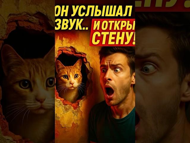 СТРАННЫЙ ЗВУК В СТЕНЕ
