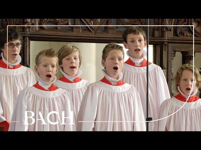 Bach - Opening Chorus Kommt, ihr Töchter from St Matthew Passion BWV 244 | Netherlands Bach Society