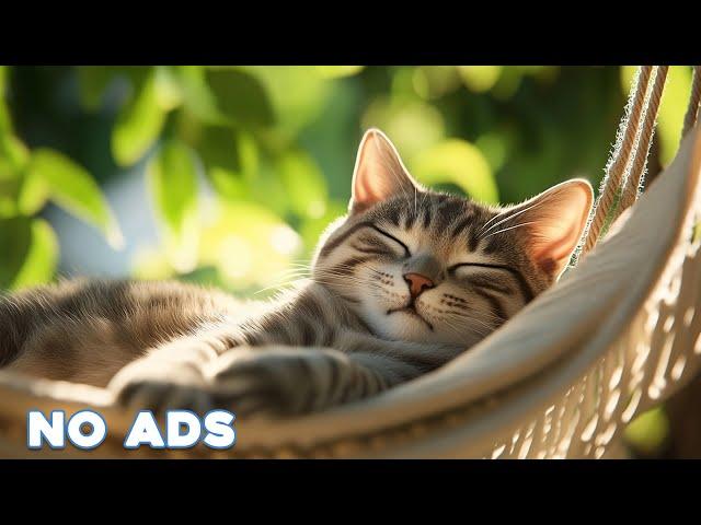 12 Hours Of Cat Healing Music Soothing Sounds for Deep Relaxation And Sleep With Soothing Piano