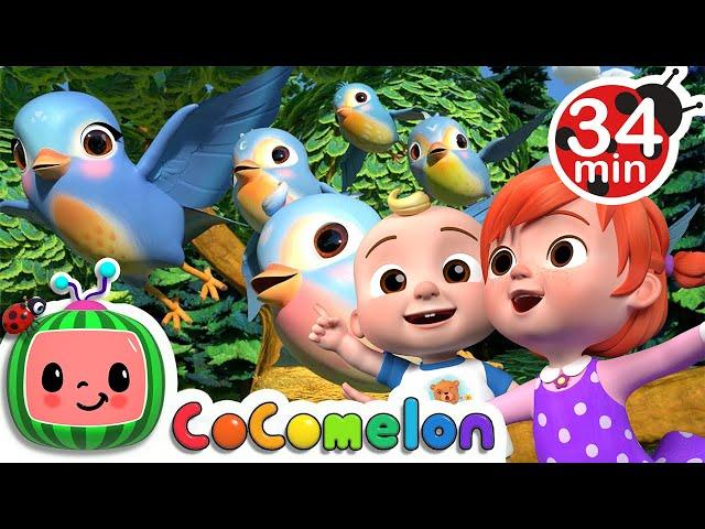 Itsy Bitsy Birdie + @CoComelon  | Nursery Rhymes | Baby Cartoons | Moonbug Kids