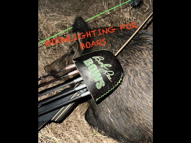 MOONLIGHTING FOR BOARS///Traditional bowhunting///hog hunting with a longbow