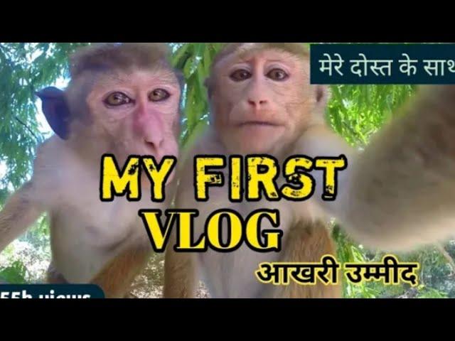 @misterd.g.59 //#my_first_vlog_on_youtube_2022/viral please video