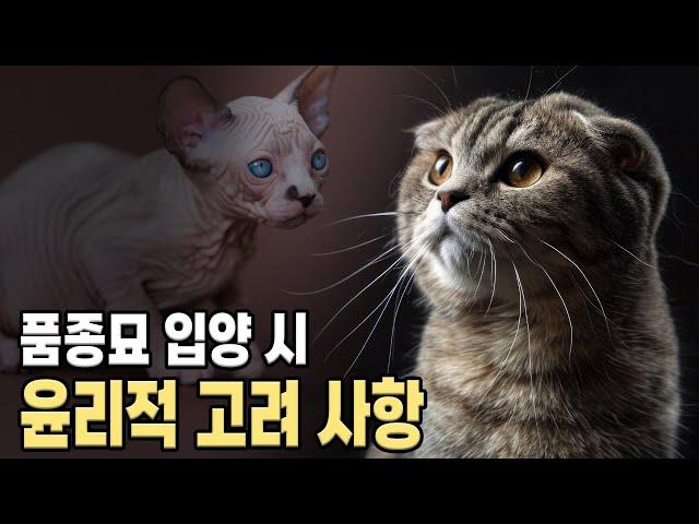 고양이 품종과 윤리적인 고려사항.