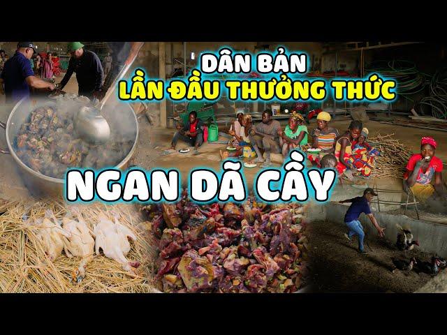 Quanglinhvlogs || "Ngan Dã Cầy" Người Dân Bản Lần Đầu Được Thưởng Thức Và Cảm Nhận.