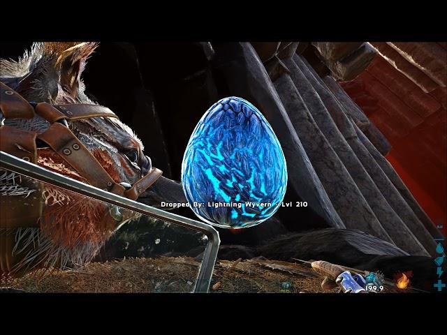 Maewings are busted! Wyvern egg grabbing made easy!