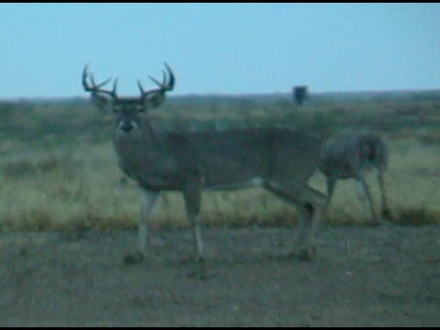 Bowhunting Trophy TX Whitetail With Bob Fromme