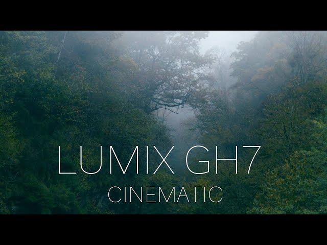 GH7 CINEMATIC FOOTAGE | IN AUTUMN