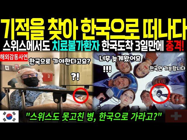 [해외감동사연] 기적을 찾아 스위스에서 한국으로! 스위스에서도 치료불가환자 한국도착 3일만에 충격!