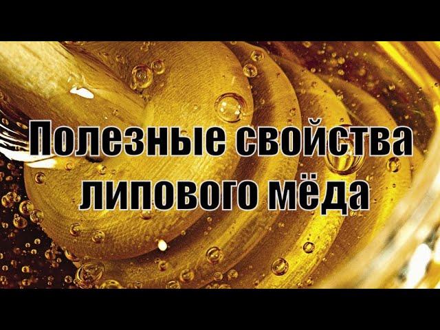 Чем полезен липовый мёд?