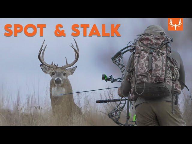 Spot and Stalk Deer on The Plains | The Element