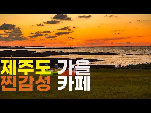 제주도여행 TOP 4 카페 / 베이커리 추천   가을에 제주도 가는 분들 이 영상 보고 가세요 