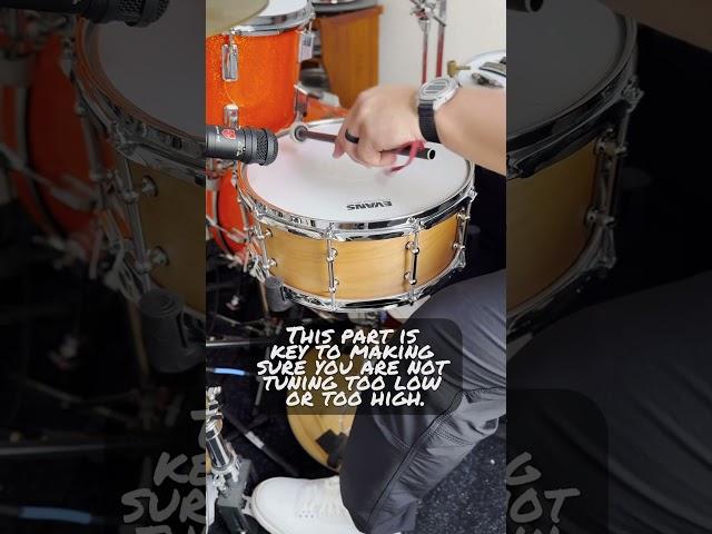 How do you get this kind of #snare #drum sound? #shorts #short #drums #sound #tune #tuning #tone