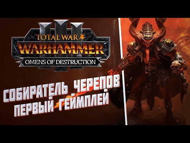 ПЕРВЫЙ ГЕЙМПЛЕЙ СОБИРАТЕЛЯ ЧЕРЕПОВ - TOTAL WAR WARHAMMER 3 | OMENS OF DESTRUCTION