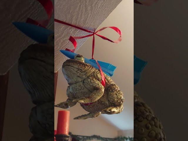 The Missile Toad (how's this for BS? )