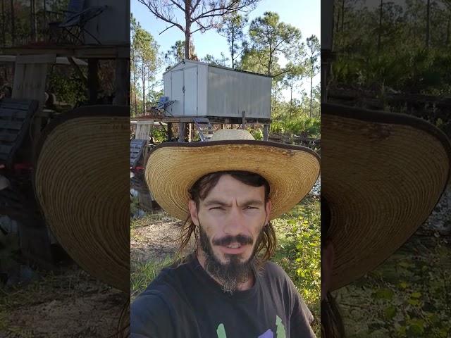 Removing this shed thats 6' off the ground