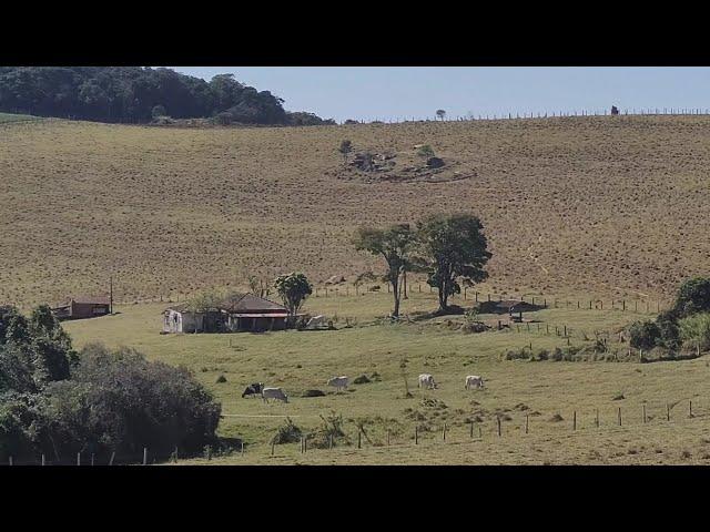 Muita coisa bonita no planalto de Divinolândia interior de São Paulo