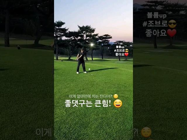 501화) 골프치고 싶어요  (feat. 조브로) #골프 #골프스윙 #golf #golfswing #골프레슨 #필드레슨 #골린이 #로리맥길로이 #드라이버 #아이언 #우드