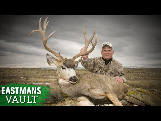 30-Inch Buck! Mike Eastman Hunts Mule Deer