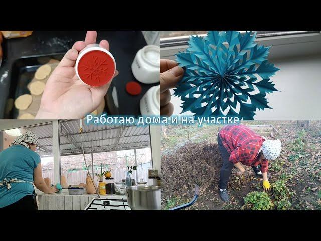 В декабре на огороде // Продуктивные будни // Нюркина жизнь
