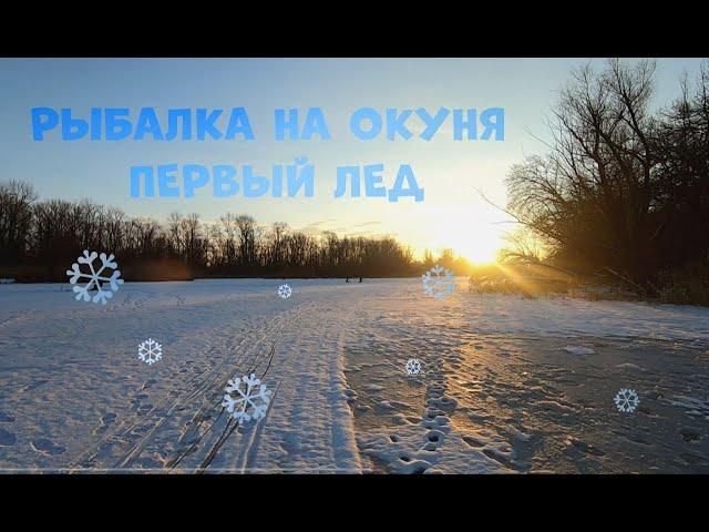 РЫБАЛКА НА ОКУНЯ! ПЕРВЫЙ ЛЕД! МОРМЫШКА И ВАУЧЕР