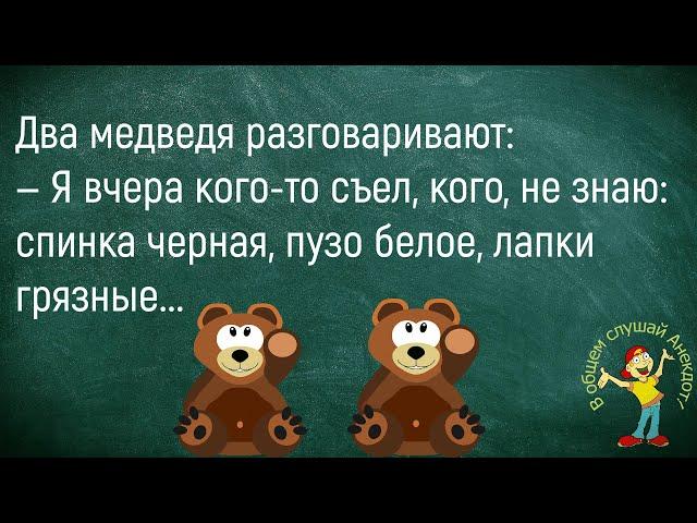  Винни-Пух Под Вечер Вваливается В Гости К Пятачку...Сборник Смешных Анекдотов!